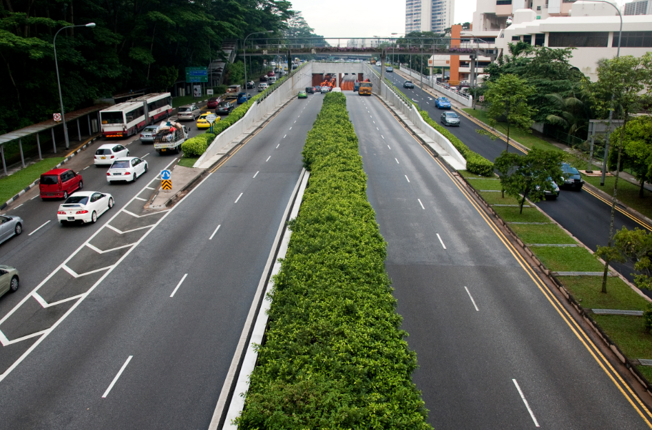 traffic consultant in Auckland