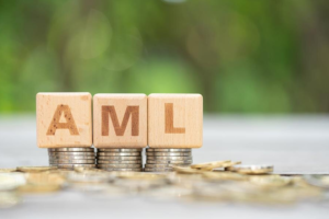 Read more about the article How AML Advisory Services Can Help Mitigate Risks for Businesses