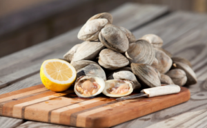 Read more about the article Why Clams In New Zealand Can Be A Nutritious Dietary Choice