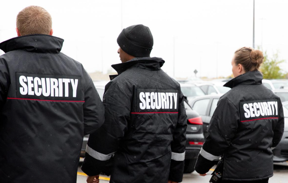  professional security services 