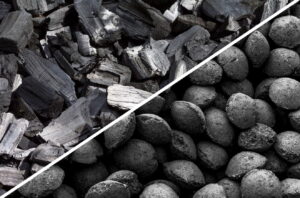 Read more about the article Unlocking the Power of Charcoal Briquettes: A Comprehensive Guide