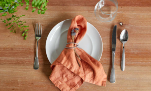 Read more about the article Establish Aesthetic Look Of Dining Table With Dinner Napkins