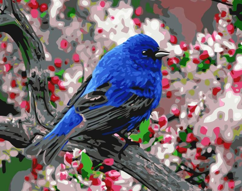 Read more about the article The Benefits of Birds Paint by Numbers