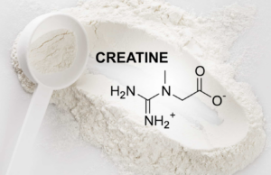 creatine supplements for women